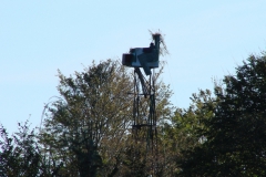Usategiak 2010 (26)
