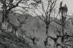 etxalarko Usategiak 1910 (1)