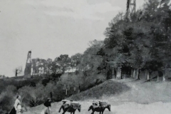 etxalarko Usategiak 1910 (4)