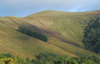 Oihan enkantea