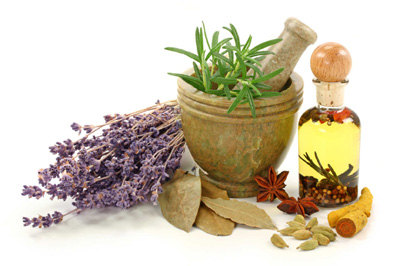 Cursos de cocina e hierbas medicinales